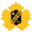 Skellefteå AIK badge