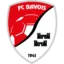 Bavois badge