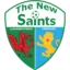 The New Saints badge