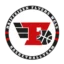 Flyers Wels badge