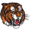 Medicine Hat Tigers badge