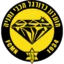 Maccabi Netanya badge