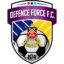 Defence Force badge