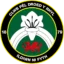Y Rhyl 1879 badge