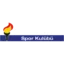 Nesibe Aydın GSK badge