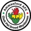 Ammanford badge