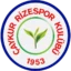 Rizespor badge
