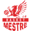 Basket Mestre badge
