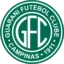 Guarani badge