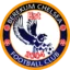 Berekum Chelsea badge
