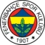Fenerbahçe badge