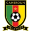 Cameroon badge