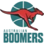 Australia Basketball badge