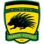 Asante Kotoko badge