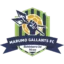 Marumo Gallants badge