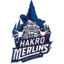 Crailsheim Merlins badge