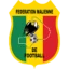 Mali badge