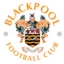 Blackpool badge