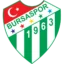 Bursaspor badge