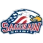 Saginaw Spirit badge