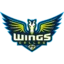 Dallas Wings badge