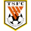 Shandong Taishan badge
