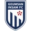Geumsan Insam badge