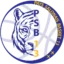 Pays Salonais Basket 13 badge