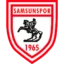 Samsunspor badge