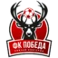Pobeda Nizhny Novgorod badge