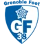 Grenoble badge