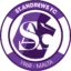St. Andrews badge