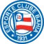 Bahia badge