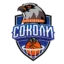Kharkivski Sokoly badge