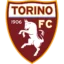 Torino badge