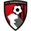 Bournemouth badge