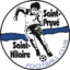 Saint-Pryvé Saint-Hilaire badge