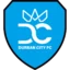 Durban City badge