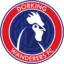 Dorking Wanderers badge