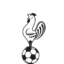 La Calzada badge