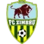 Zimbru Chișinău badge