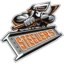 Sheffield Steelers badge