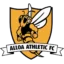 Alloa Athletic badge