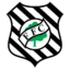 Figueirense badge