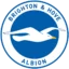 Brighton and Hove Albion badge