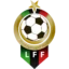 Libya badge