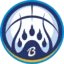 Bora badge